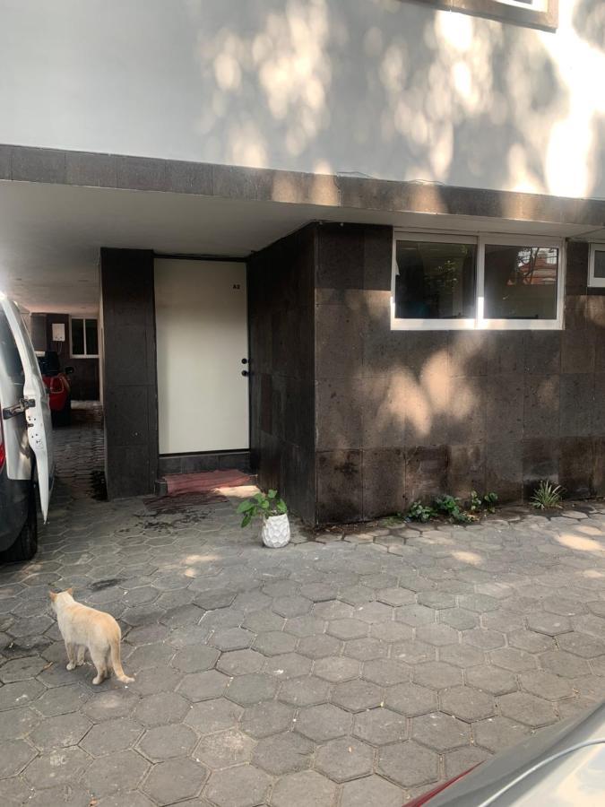 Coyoacan Magico Kota Meksiko Bagian luar foto