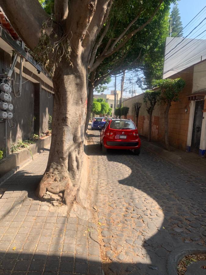 Coyoacan Magico Kota Meksiko Bagian luar foto